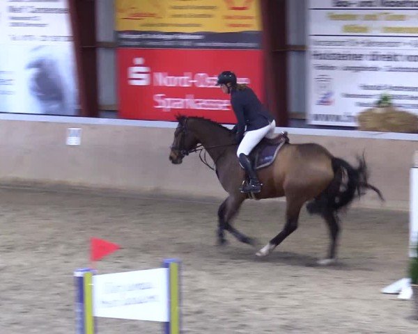 Reitturnier Behrendorf 2025