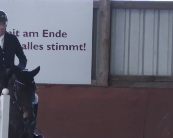 Reitturnier Viernheim 2025