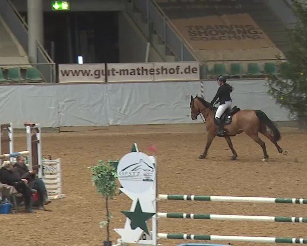 Reitturnier Kreuth 2025