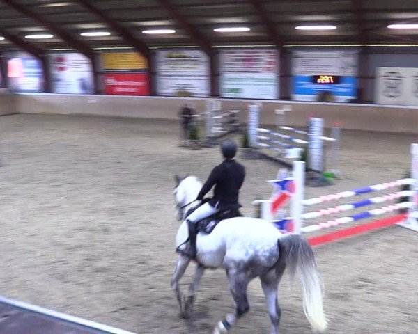 Reitturnier Behrendorf 2025