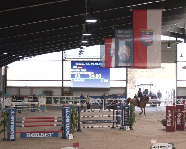 Reitturnier Borken (Hessen) 2025