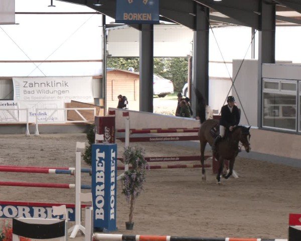 Reitturnier Borken (Hessen) 2025