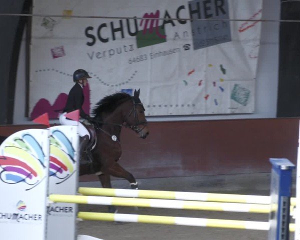Reitturnier Viernheim 2025