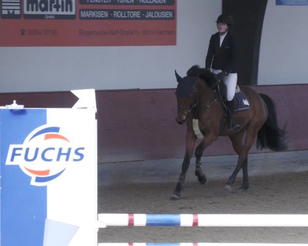 Reitturnier Viernheim 2025