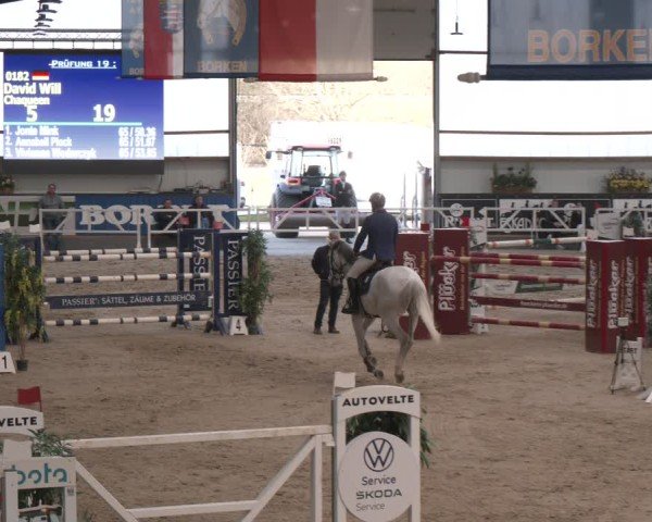 Reitturnier Borken (Hessen) 2025