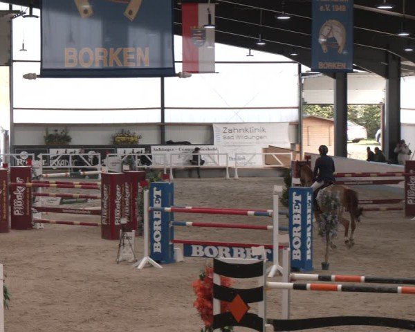 Reitturnier Borken (Hessen) 2025