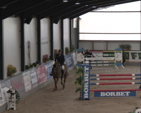 Reitturnier Borken (Hessen) 2025