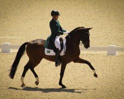 dressage horse Feel Good Vo NRW (Westphalian, 2012, from Franziskus FRH)