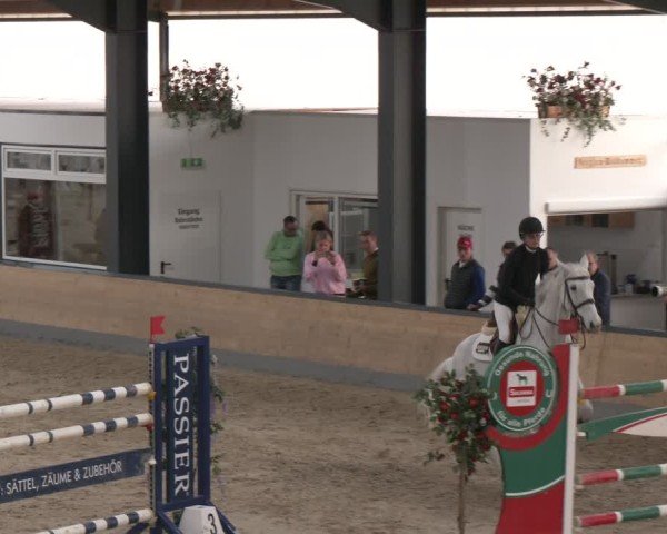 Reitturnier Borken (Hessen) 2025