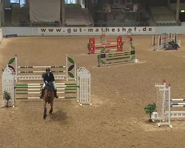 Reitturnier Kreuth 2025