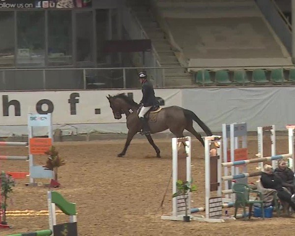 Reitturnier Kreuth 2025