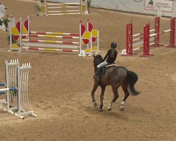 Reitturnier Kreuth 2025