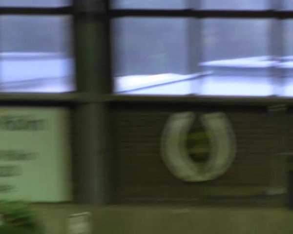 Köln-Leverkusen 2013