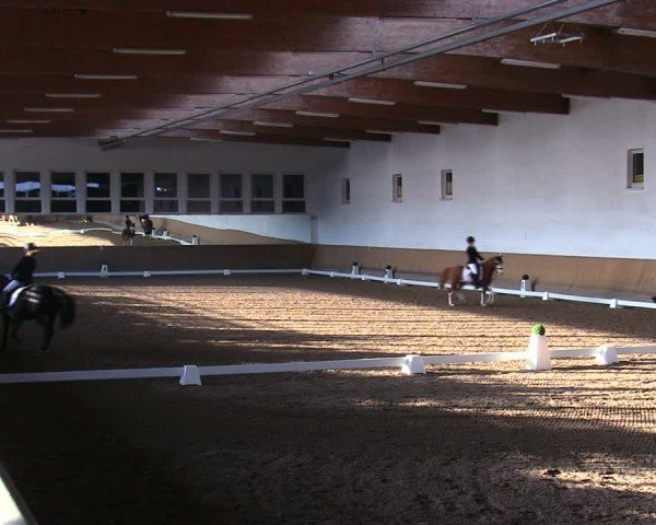 Reitturnier Freudenberg 2025