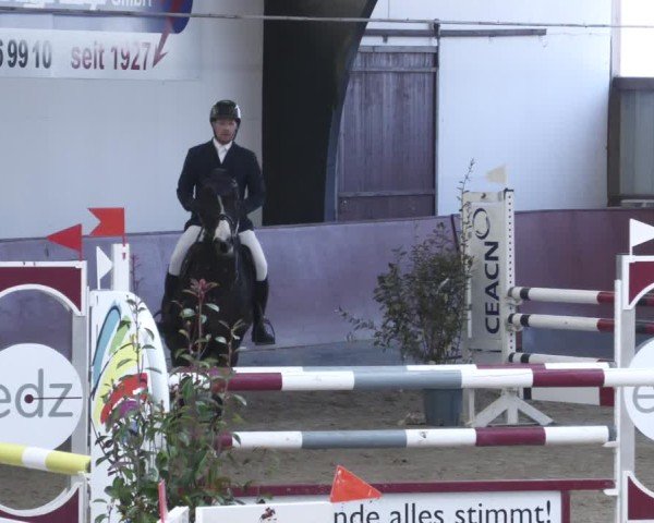 Reitturnier Viernheim 2025