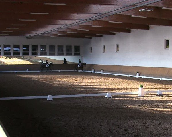 Reitturnier Freudenberg 2025