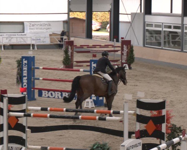 Reitturnier Borken (Hessen) 2025