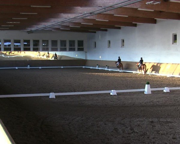 Reitturnier Freudenberg 2025