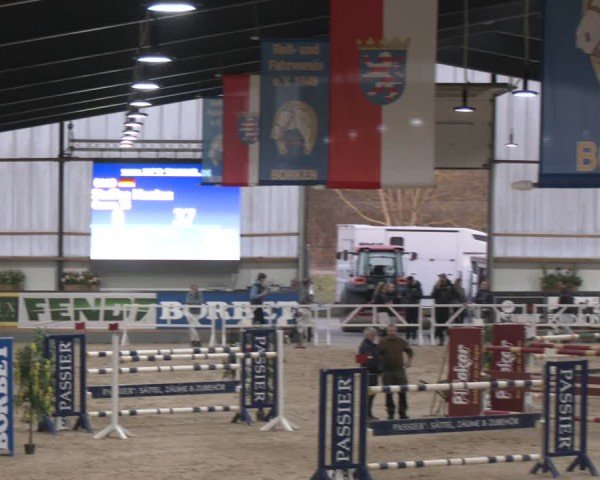 Reitturnier Borken (Hessen) 2025