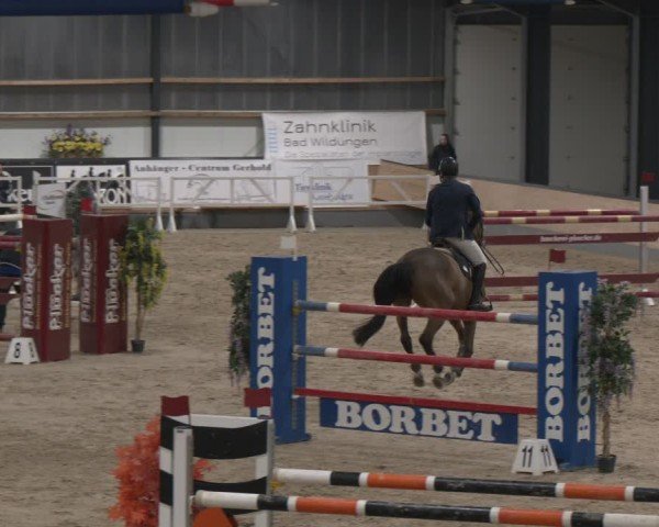 Reitturnier Borken (Hessen) 2025