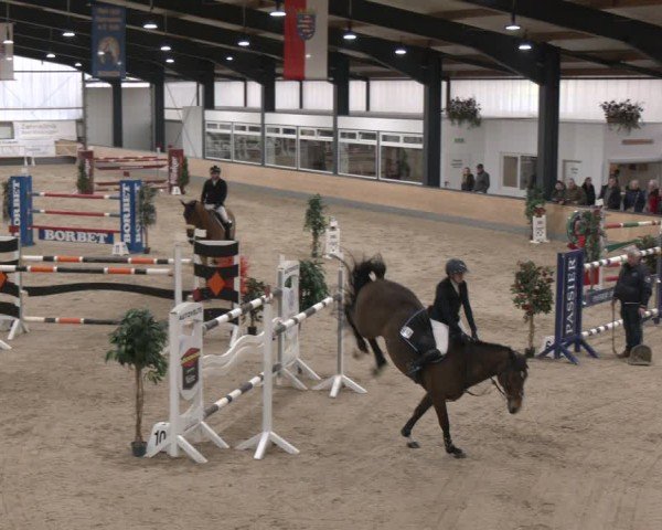 Reitturnier Borken (Hessen) 2025