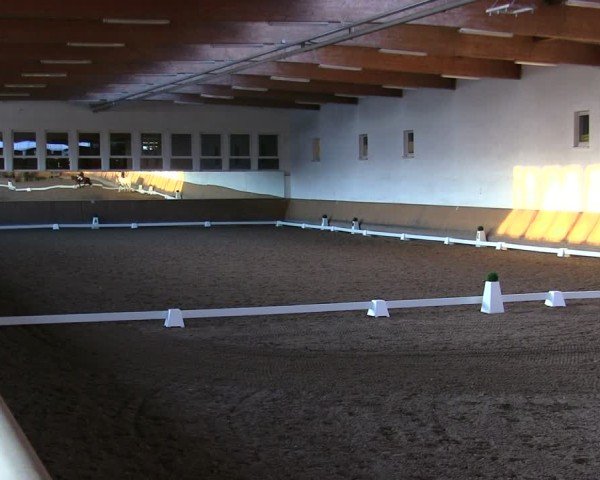 Reitturnier Freudenberg 2025