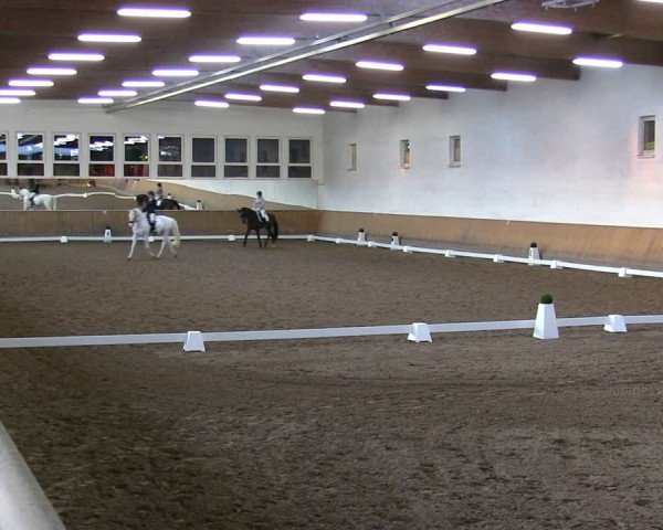 Reitturnier Freudenberg 2025