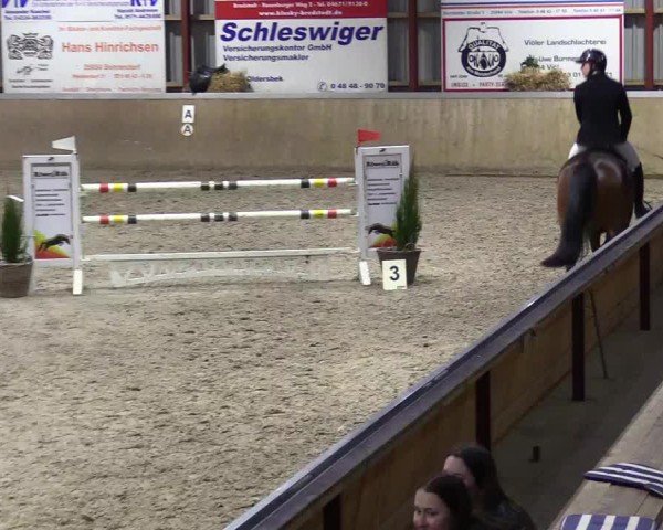 Reitturnier Behrendorf 2025