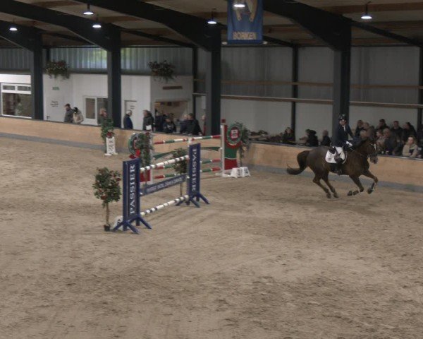 Reitturnier Borken (Hessen) 2025