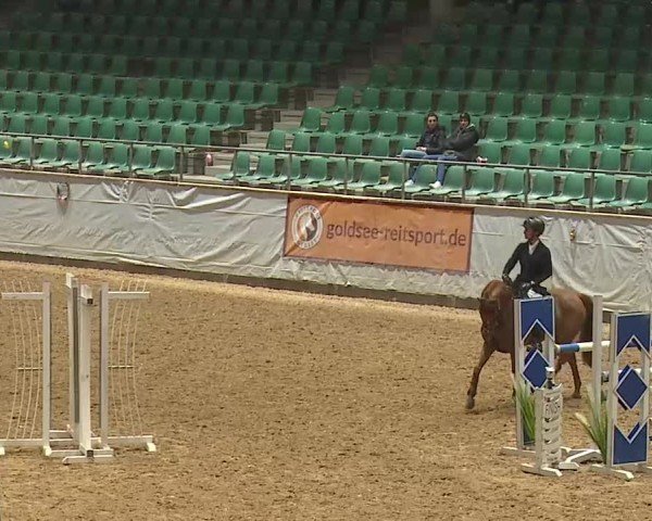 Reitturnier Kreuth 2025