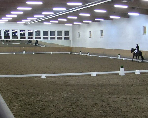 Reitturnier Freudenberg 2025