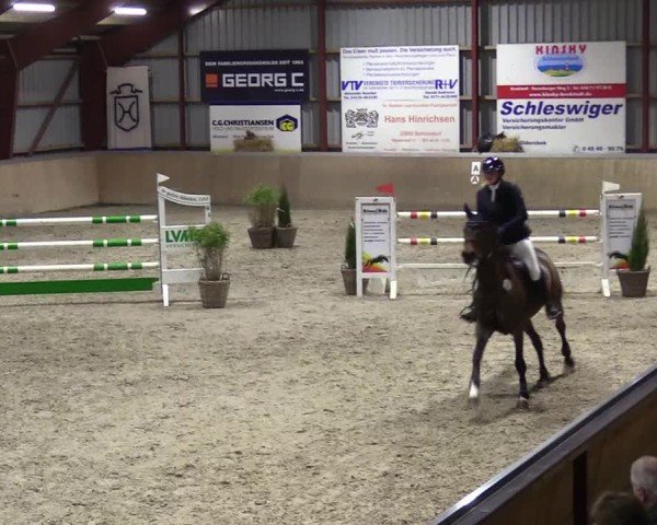 Reitturnier Behrendorf 2025