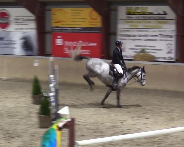 Reitturnier Behrendorf 2025
