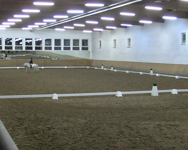 Reitturnier Freudenberg 2025