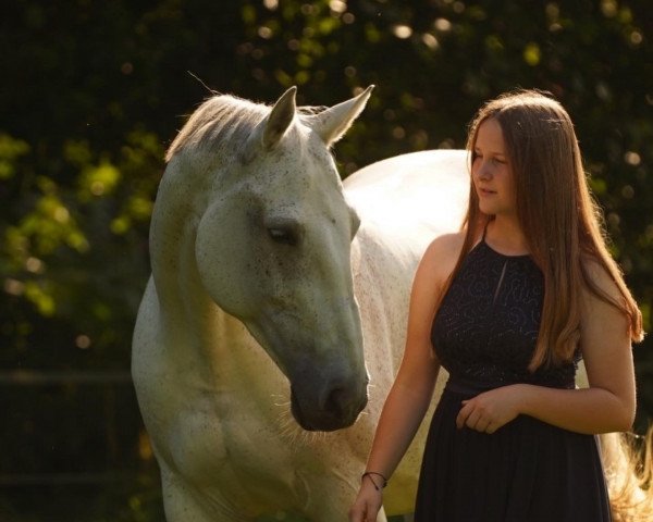 horse Caro-Lina (German Sport Horse, 2008, from Colorit)