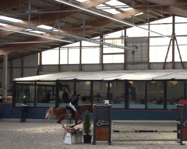 Reitturnier Oberriet 2025