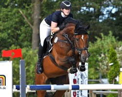 jumper Shynea (Hanoverian, 2015, from Stolzenberg)