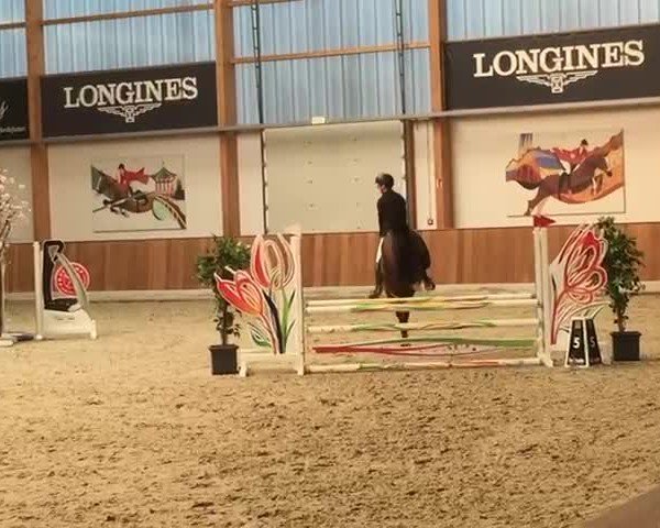 Video of Captain Spock Kb
