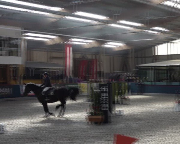 Reitturnier Oberriet 2025