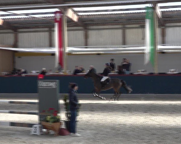 Reitturnier Oberriet 2025