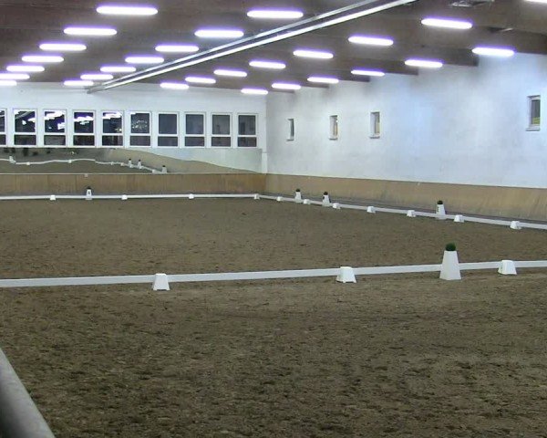 Reitturnier Freudenberg 2025