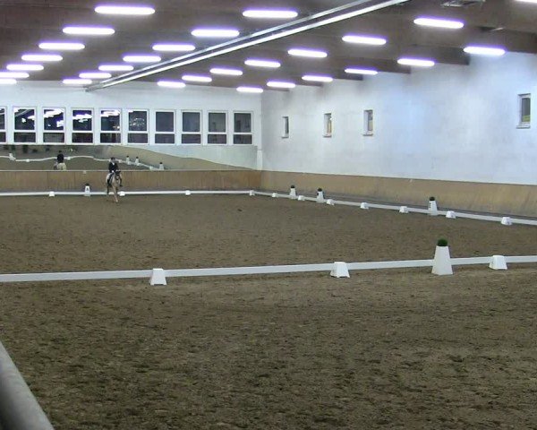 Reitturnier Freudenberg 2025