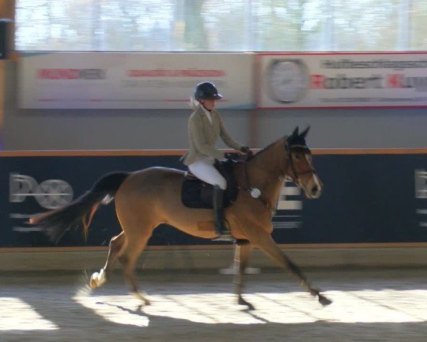 Reitturnier Asperden 2025