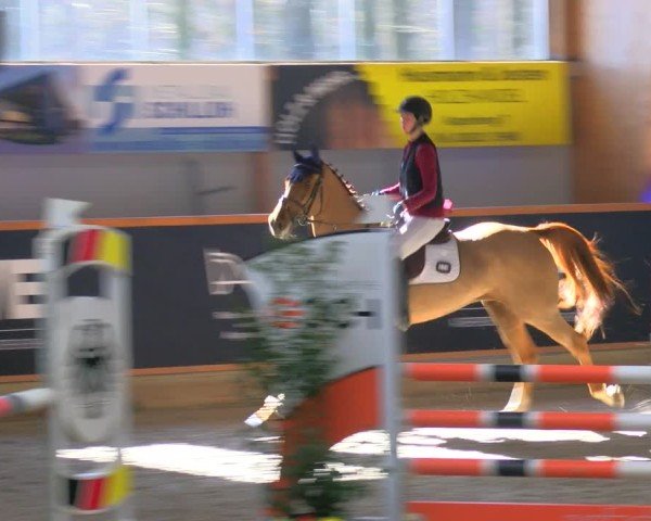 Reitturnier Asperden 2025