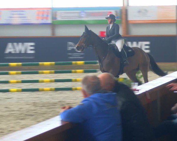 Reitturnier Asperden 2025