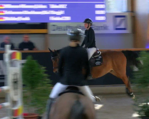 Reitturnier Asperden 2025