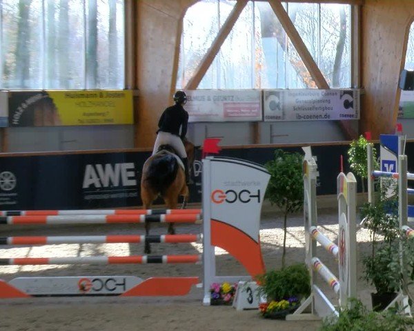 Reitturnier Asperden 2025