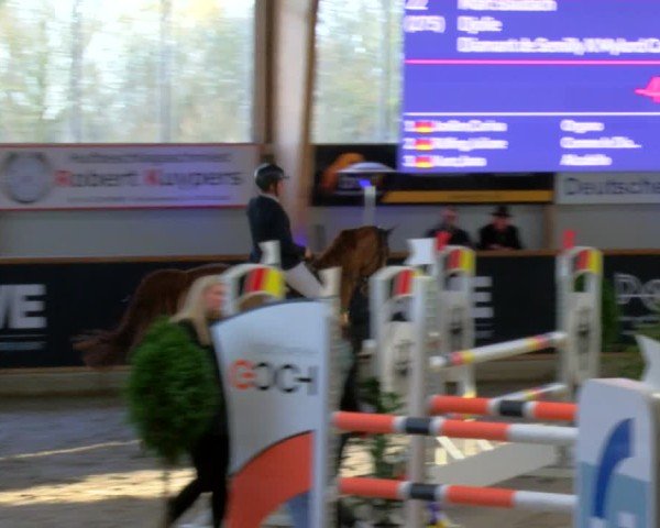 Reitturnier Asperden 2025