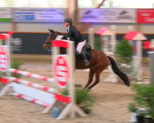 Reitturnier Asperden 2025