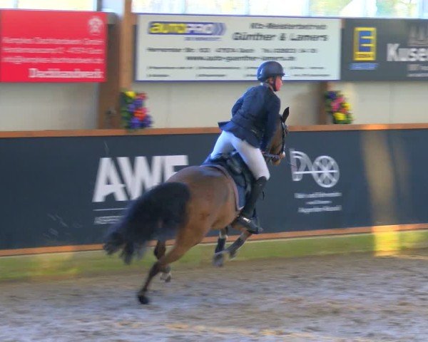 Reitturnier Asperden 2025